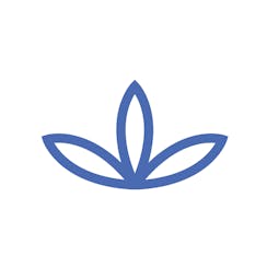 BC Consulting logo